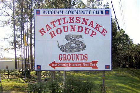 Gainous said the privately owned Community Center that holds the <b>Rattlesnake</b> <b>Roundup</b> every year is also open to more events. . Rattlesnake roundup whigham ga 2023